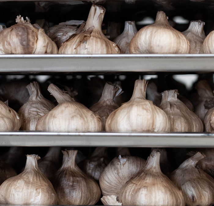 Ail noir - Black Garlic - L'étuverie - Bulbes